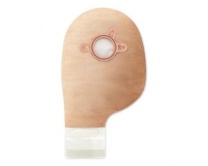 HOLLI Conf.2 Sacc.Ap LNR Tr.70