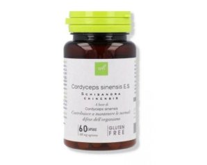 Cordyceps Sinensis Oti Integratore 60 Capsule Vegetali per Energia Naturale e Sostegno delle Difese Immunitarie
