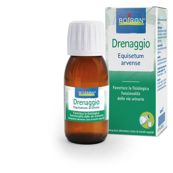 Equisetum arvense 60 ml macerato glicerico - estratto di equiseto per unghie e capelli Equisetum arvense 60 ml macerato glicerico - estratto di equiseto per unghie e capelli