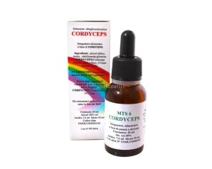 Alkaest Mts6 Cordyceps Gocce Flaconcino 20 Ml