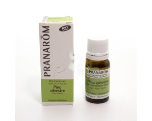Pranarom Pino Silvestre olio essenziale - olio essenziale di pino silvestre chemotipo