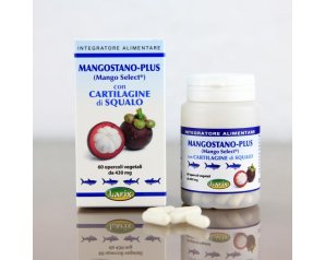 Mangostano Plus 60 Capsule Integratore Alimentare Antiossidante a Base di Mangostano