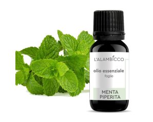 Menta olio essenziale 10 ml - olio essenziale di menta piperita per diffusori e aromaterapia