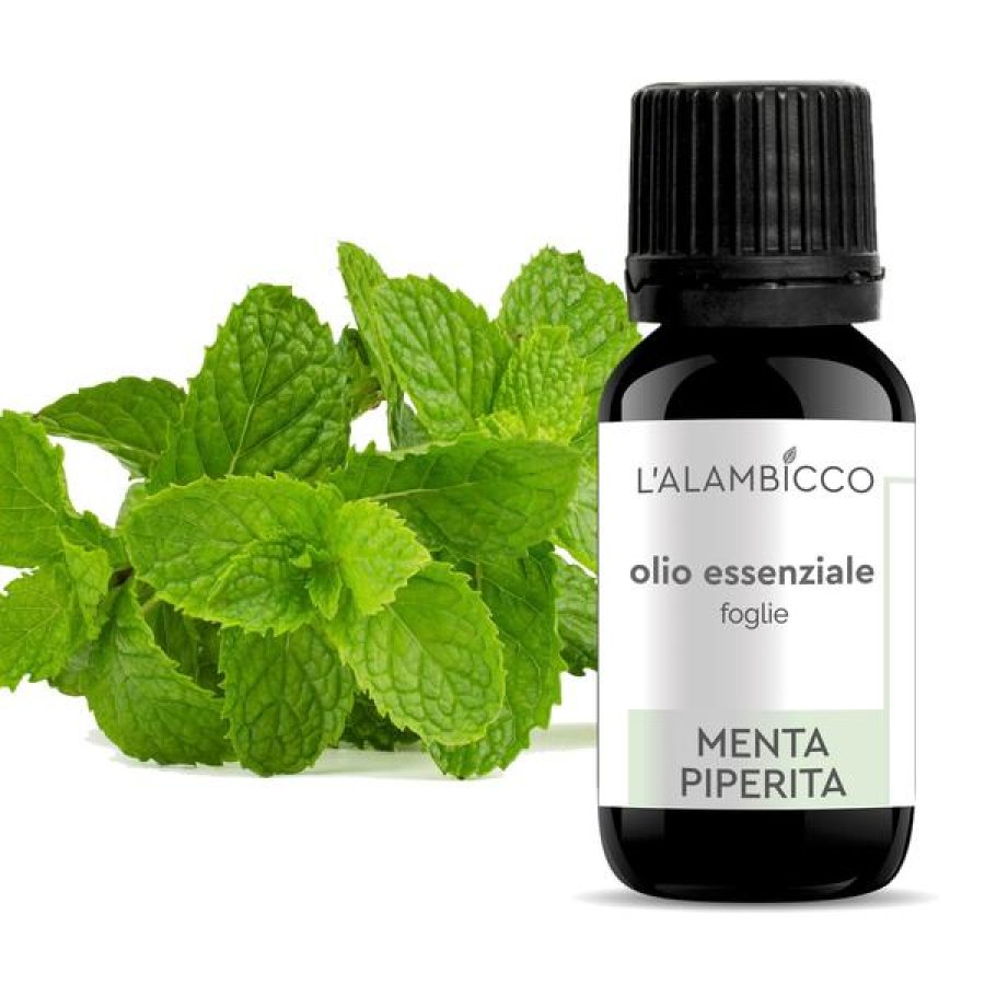 Menta olio essenziale 10 ml - olio essenziale di menta piperita per diffusori e aromaterapia Menta olio essenziale 10 ml - olio essenziale di menta piperita per diffusori e aromaterapia