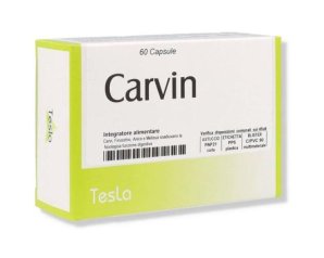 Carvin 60 Capsule Integratore Alimentare per Colesterolo con Riso Rosso Fermentato e Coenzima Q10