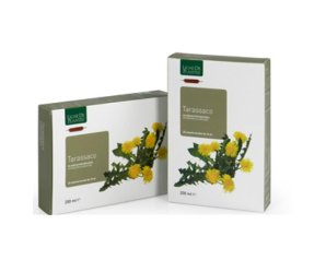 Tarassaco Bio Integratore Depurativo 20 Ampolle Bevivili da 15 Millilitri per Fegato e Drenaggio dei Liquidi