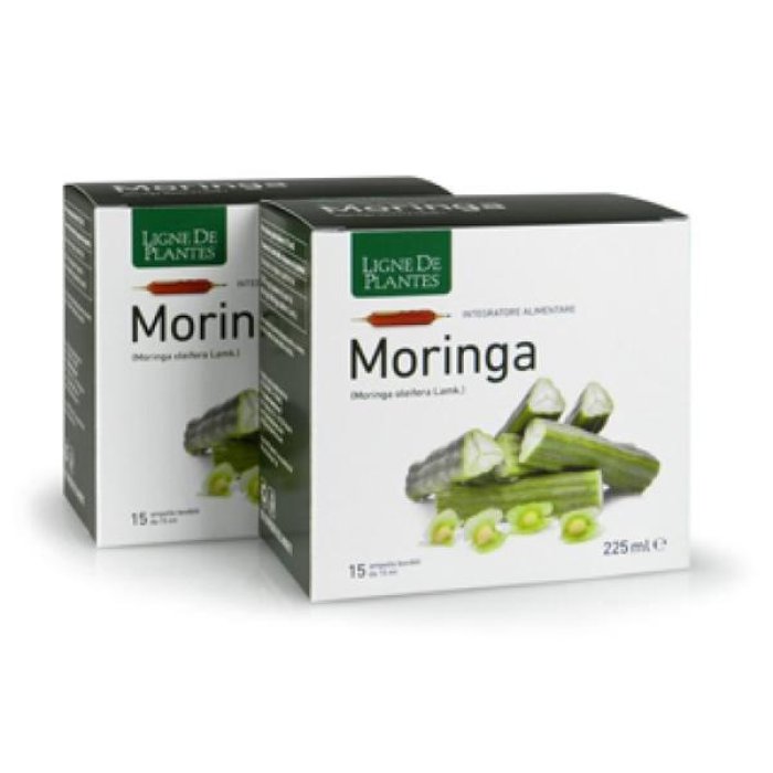 Moringa Integratore Naturale 15AB in Gocce 15 Millilitri ad Alta Qualità per Benessere ed Energia Moringa Integratore Naturale 15AB in Gocce 15 Millilitri ad Alta Qualità per Benessere ed Energia