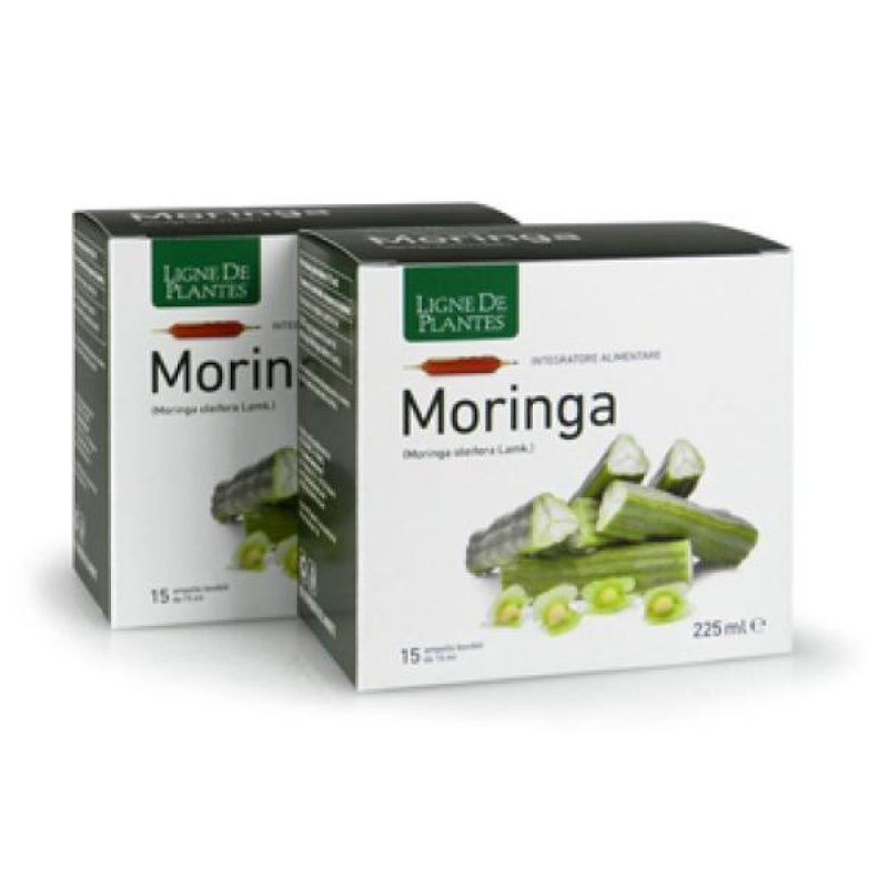 Moringa Integratore Naturale 15AB in Gocce 15 Millilitri ad Alta Qualità per Benessere ed Energia Moringa Integratore Naturale 15AB in Gocce 15 Millilitri ad Alta Qualità per Benessere ed Energia