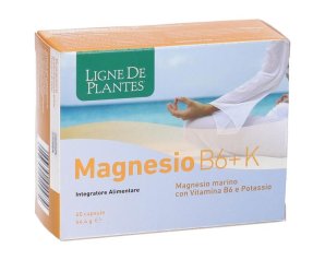 Magnesio B6 + K 60 capsule Natura S - integratore di magnesio potassio e vitamina B6