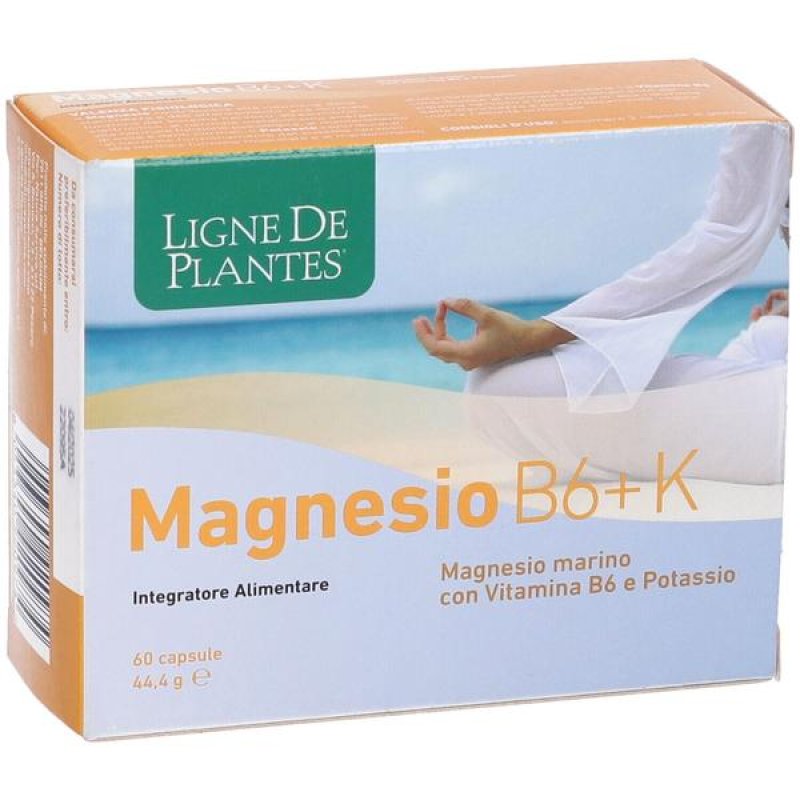 Magnesio B6 + K 60 capsule Natura S - integratore di magnesio potassio e vitamina B6 Magnesio B6 + K 60 capsule Natura S - integratore di magnesio potassio e vitamina B6