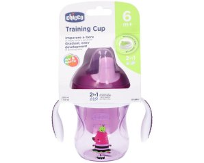 CH Tazza Training*Rosa 6m+