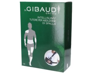 GIBAUD-ORT.Intellisling15 01