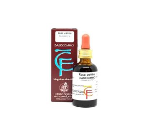 Basegemmo Rosa Canina 30 ml - macerato glicerico di rosa canina