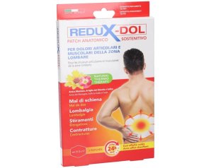 Redux Dolore Patch Zona Lombare 3 Pezzi – Cerotti Antidolorifici Redux per Mal di Schiena e Dolori Lombari