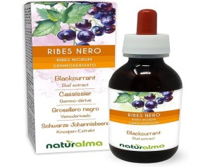 Ribes Nigrum Circulatum Bio gocce - integratore a base di ribes nero per circolazione e drenaggio
