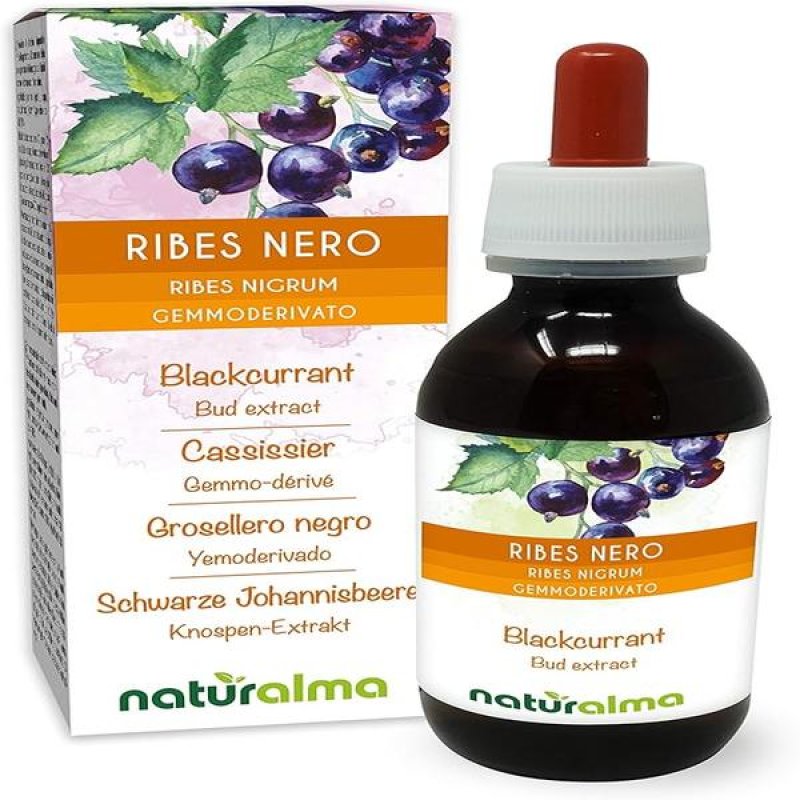 Ribes Nigrum Circulatum Bio gocce - integratore a base di ribes nero per circolazione e drenaggio