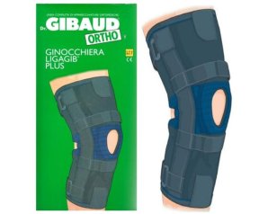 GIBAUD-ORT.Gin.Ligagib Art.3