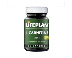 Integratore Alimentare L Carnitina 60 Capsule Sesi Per Energia Metabolismo E Controllo Del Peso