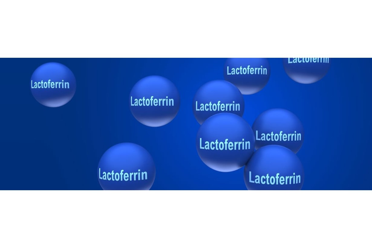 In quali alimenti si trova la lattoferrina? In quali alimenti si trova la lattoferrina?