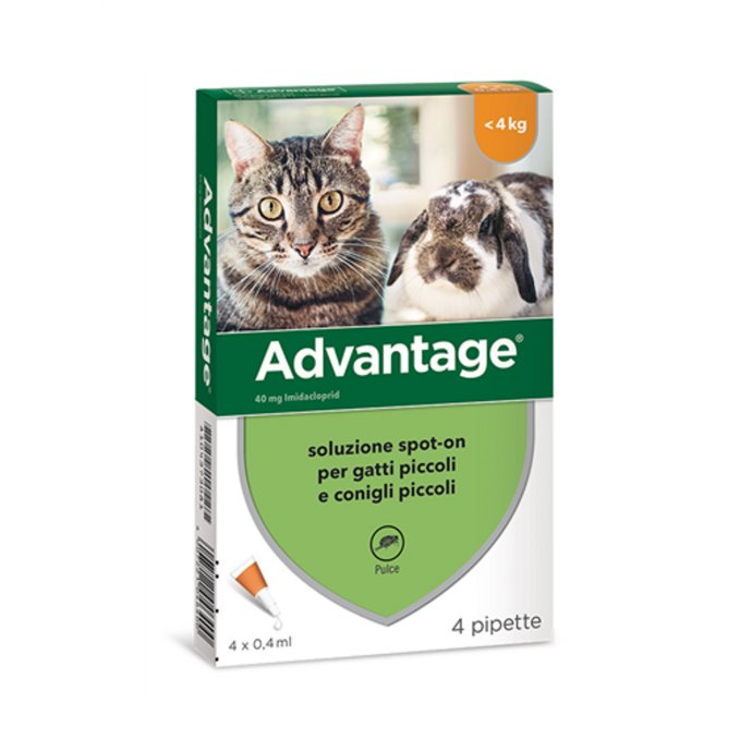 Advantage Spot-On per gatti e conigli 4 pipette da 0,4 ml Advantage Spot-On per gatti e conigli 4 pipette da 0,4 ml