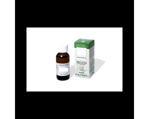 Sarandrea Marco &c. Ginkgo Biloba 100ml Tintura Madre