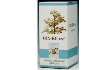 GINKETZE 80TAV 600MG VGP