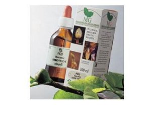 ROSA CANINA 100ML MG
