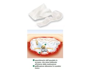 SUPRASORB A COMPR.10x10 10pz