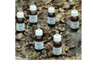 KA PLANTA OLIO MASS 30ML ALCHEM