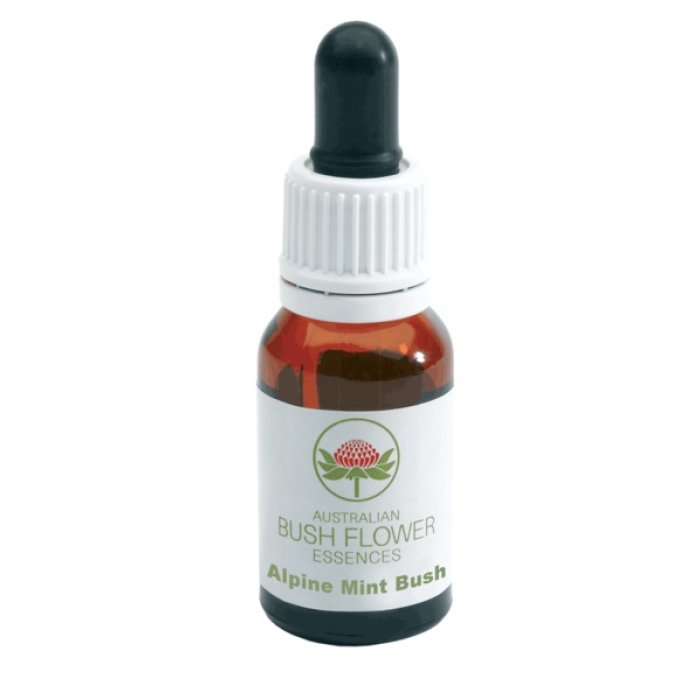 Australian Alpine Mint Bush Essenza in Gocce 15 ml Rimedio Naturale Australian Alpine Mint Bush Essenza in Gocce 15 ml Rimedio Naturale