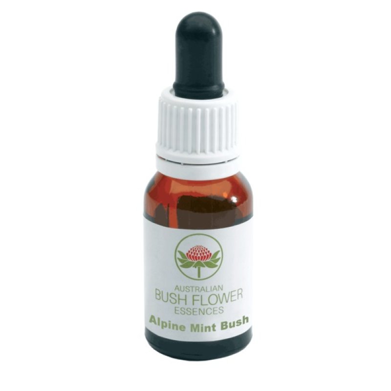 Australian Alpine Mint Bush Essenza in Gocce 15 ml Rimedio Naturale Australian Alpine Mint Bush Essenza in Gocce 15 ml Rimedio Naturale
