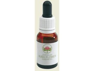 FLANNEL FLOWER AUSTRALIAN 15ML