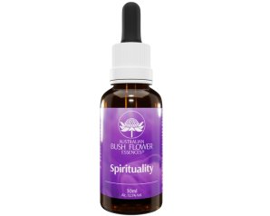 SPIRITUALITY ESS 30ML GTT