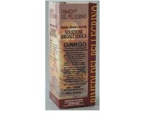 Ginkgo Biloba 60 Cps 510mg