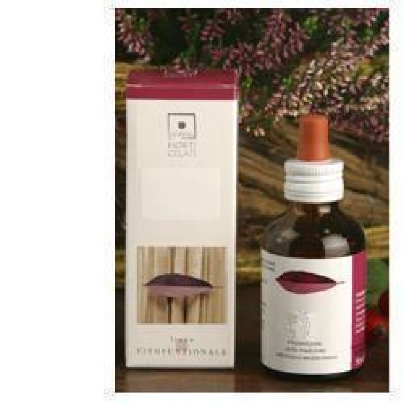 CORNUS SANGUINEA MG 50ML STV CORNUS SANGUINEA MG 50ML STV