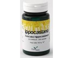 IPPOCASTANO 60CPS