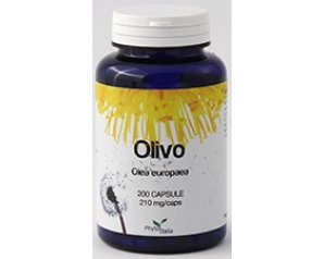 OLIVO 60CPS