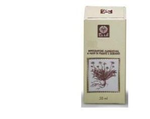 FICO GEMME ESTR ANALCO 50ML