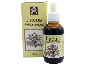 Ecol Sas Fucus Estratto Analcolico 50 Ml Articolo 796