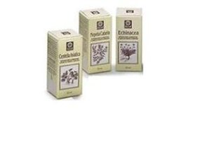 Nepeta cataria estratto analcolico 50 ml - estratto di erba gatta per uso erboristico