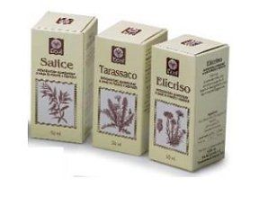 OLIO GERME GRANO 100ML 501 "EC