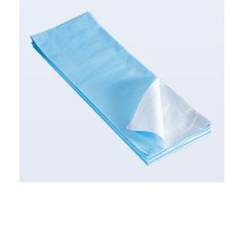 Telo Salvamat 80x210 cm 100 pezzi - teli monouso impermeabili per lettini e visite mediche Telo Salvamat 80x210 cm 100 pezzi - teli monouso impermeabili per lettini e visite mediche