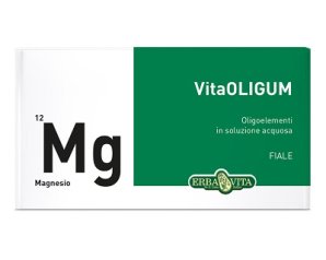 VITAOLIGUM MAGNESIO 20F ERBAVI