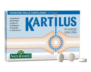 KARTILUS 40CPR NF