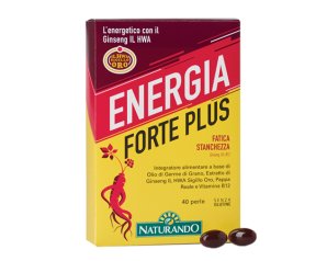 ENERGIA FORTE PLUS 40PRL