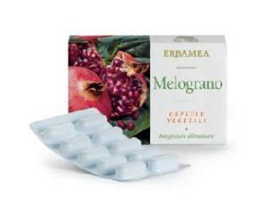 MELOGRANO 24 Cps Veg.EBM