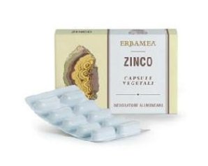 ZINCO 24 Cps Veg.EBM