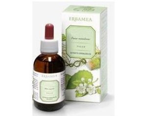 ARTIGLIO DEL DIAVOLO ESTR IAL