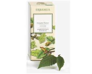 FICUS CARICA Gemme EBM