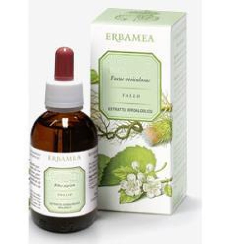 GINKGO BILOBA FOGLIE EI 50ML GINKGO BILOBA FOGLIE EI 50ML